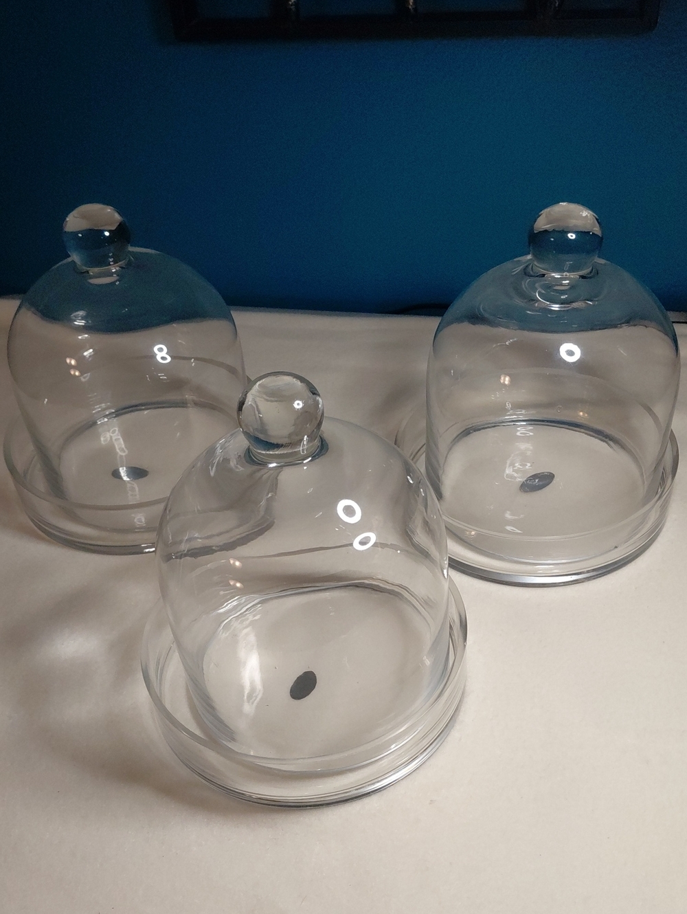 Glass Bell Cloche Domes With Bottoms Set of 3. CYD EXCEL, INC